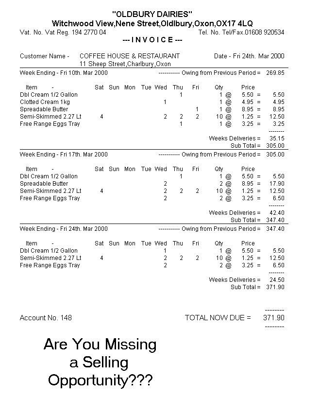 Plain Paper Invoice